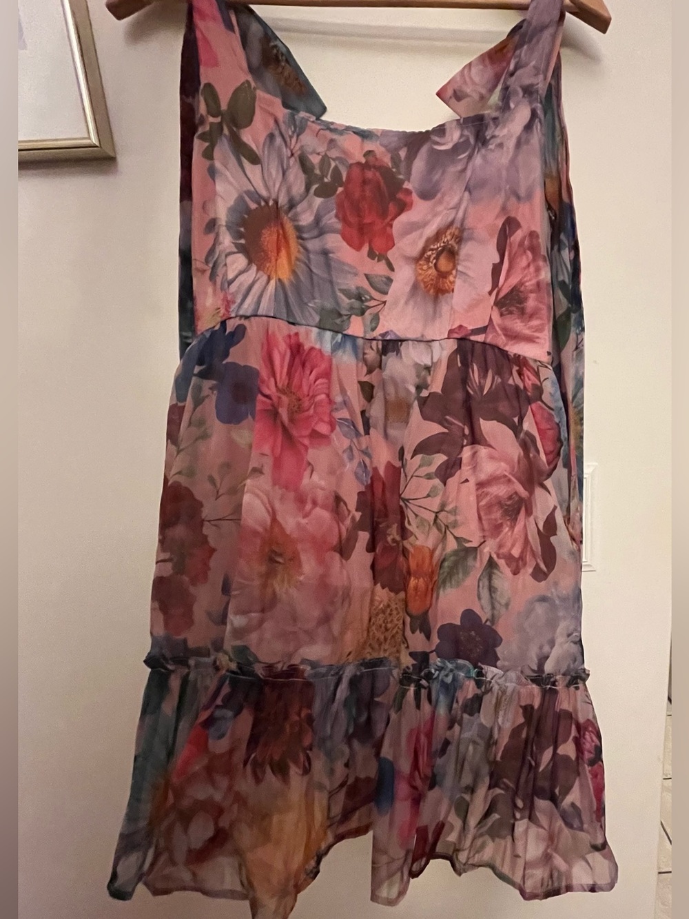 Audrey Parks by Francesca's Floral Cottagecore Dress with Ribbons NWT